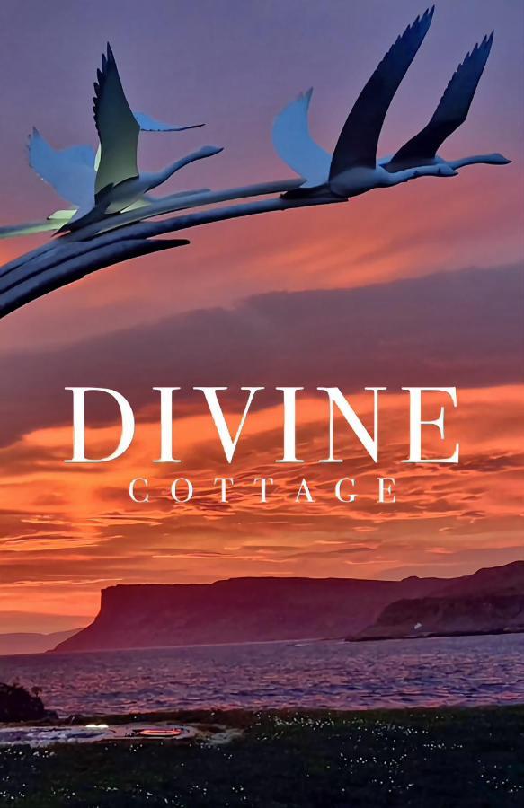 Divine Cottage باليكاسل المظهر الخارجي الصورة