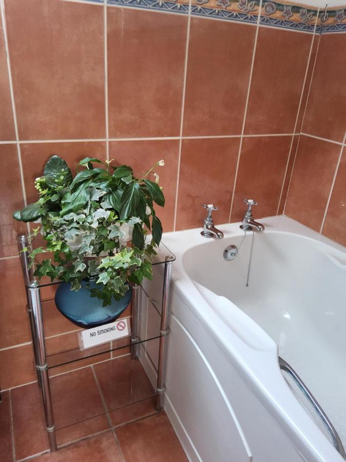 Divine Cottage باليكاسل المظهر الخارجي الصورة